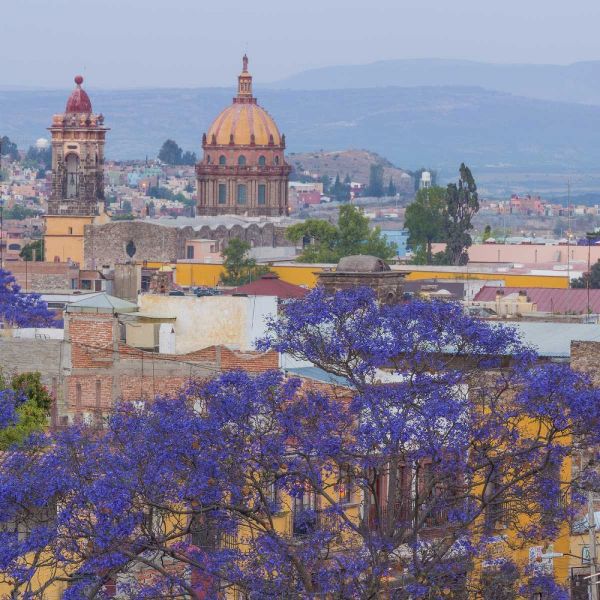Mexico, San Miguel de Allende Jacaranda and city